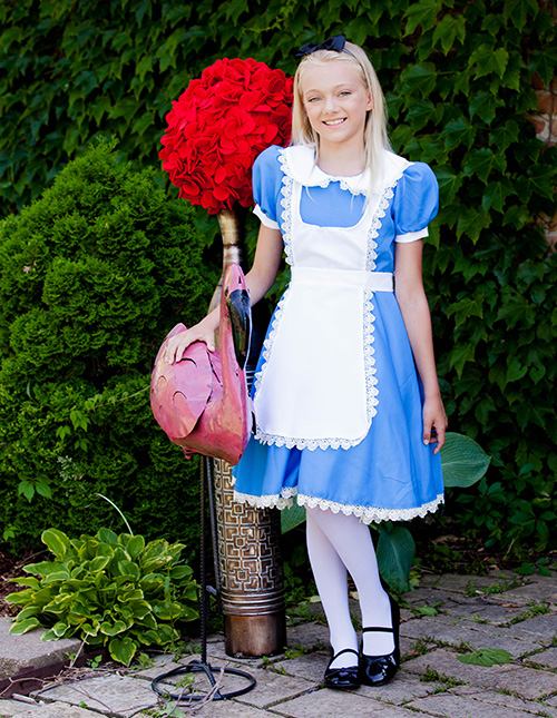 Alice in Wonderland Costume